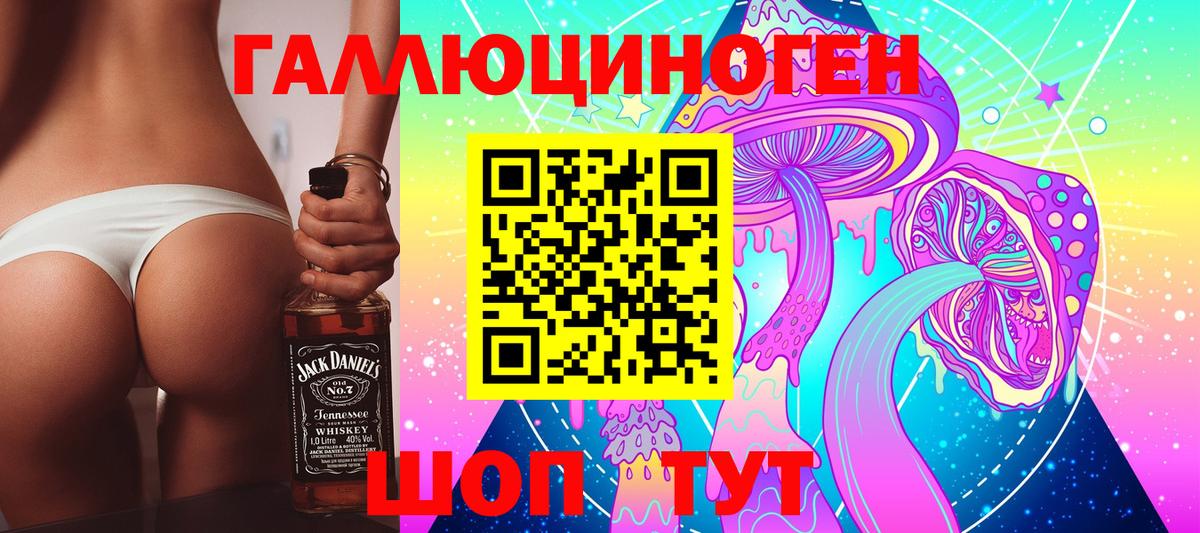 Псилоцибиновые грибы Cubensis Звенигород