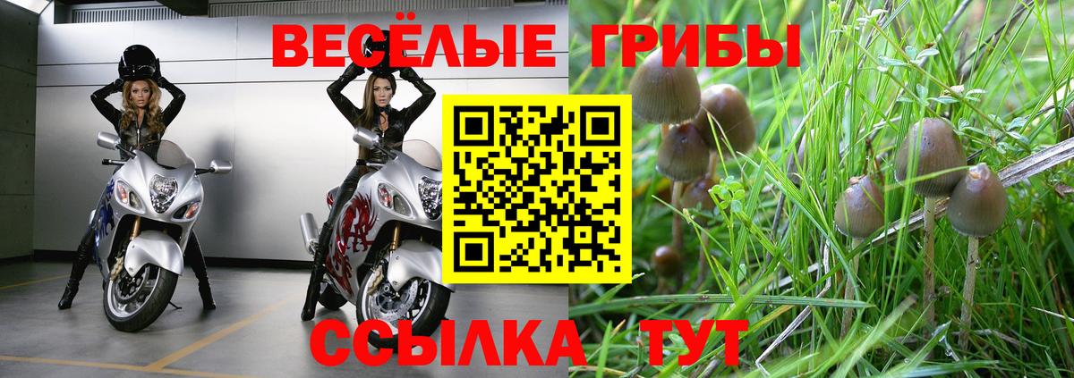 Звенигород  Галлюциногенные грибы ЛСД  Вход с VPN 